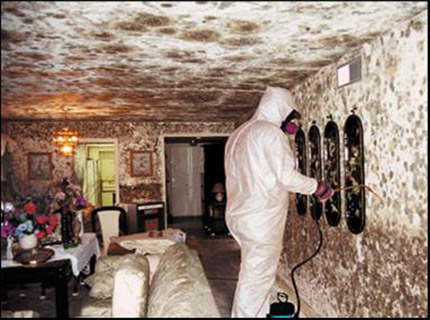 Eco Pro Restoration business image in Pikesville, MD